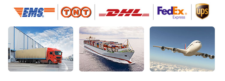 Qc11k-6x2500 Metal Guillotine Shear Guillotine Shearing Machine Qc11k-6x2500 آلة قص المقصلة المعدنية